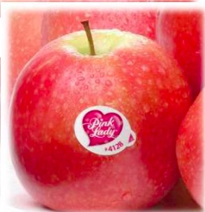 Pink Lady supports Crafts for Cancer