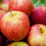 Diet rich in apples may help lung repair.