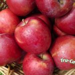 Fuji apples have the most antioxidants.