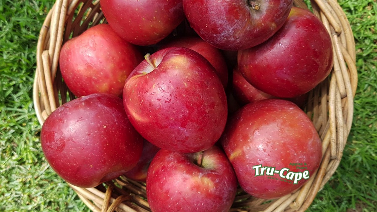 Fuji apples have the most antioxidants.