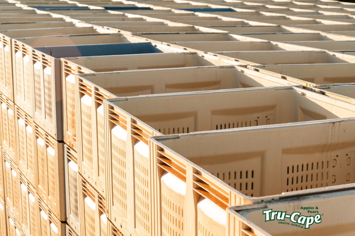 Tru-Cape Fruit bin